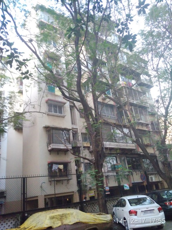 Main - Sea Pearl, Bandra West